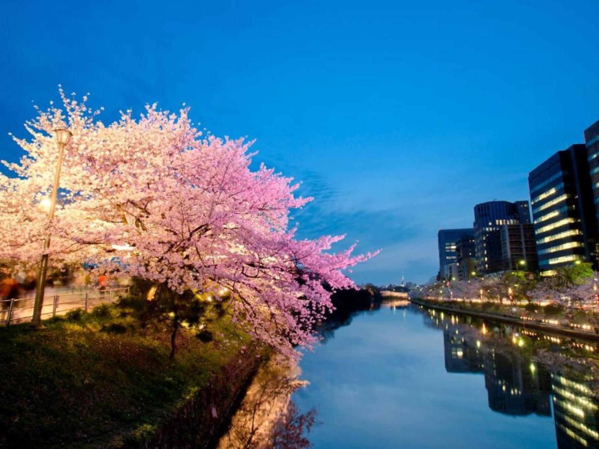 Hotel Resol Trinity Hakata Fukuoka  Esterno foto